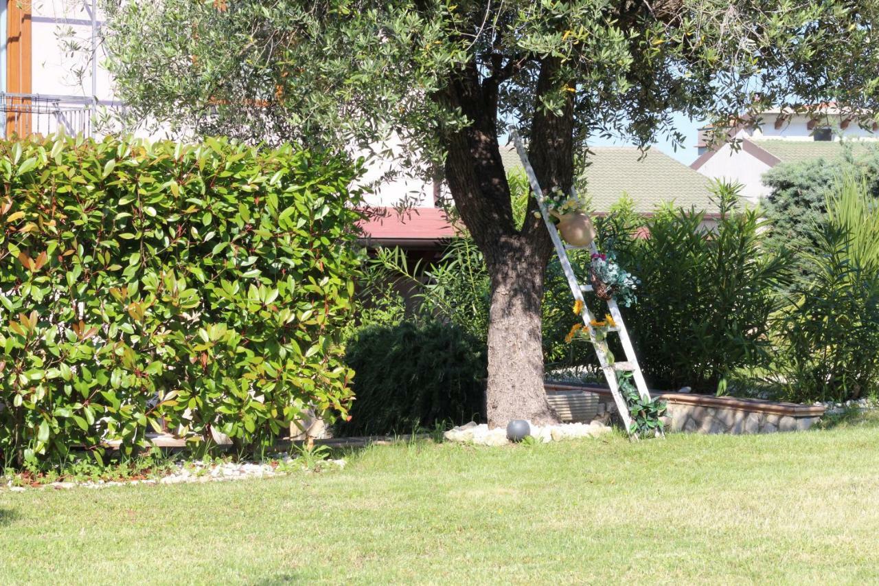Bed & Breakfast Mafi Orsogna Exterior foto